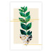 Wall Poster Geometric Nature - abstract plant with leaves on a white background 122609