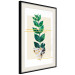 Wall Poster Geometric Nature - abstract plant with leaves on a white background 122609 additionalThumb 3
