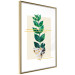 Wall Poster Geometric Nature - abstract plant with leaves on a white background 122609 additionalThumb 6