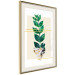Wall Poster Geometric Nature - abstract plant with leaves on a white background 122609 additionalThumb 2