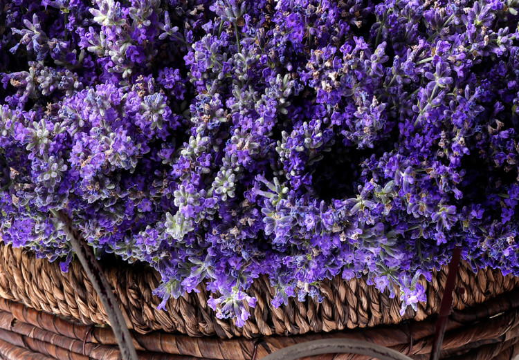 Wall Poster Secret Lavender Bouquet - purple flowers on background of wooden planks 128409 additionalImage 9