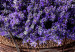 Wall Poster Secret Lavender Bouquet - purple flowers on background of wooden planks 128409 additionalThumb 9