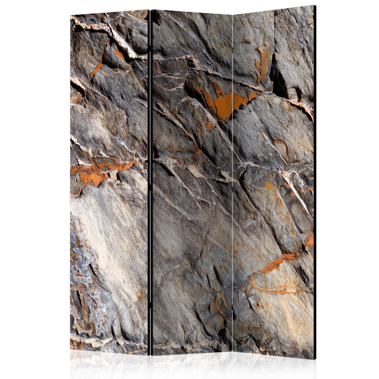 Room Divider Mountain Bastion (3-piece) - composition with gray rock texture 133509