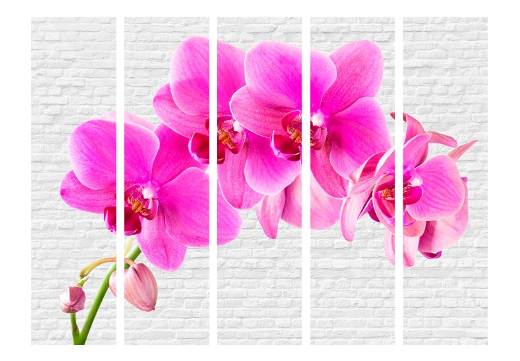 Room Divider Pink Excitement II - pink orchid flower on a white brick background 134009 additionalImage 3