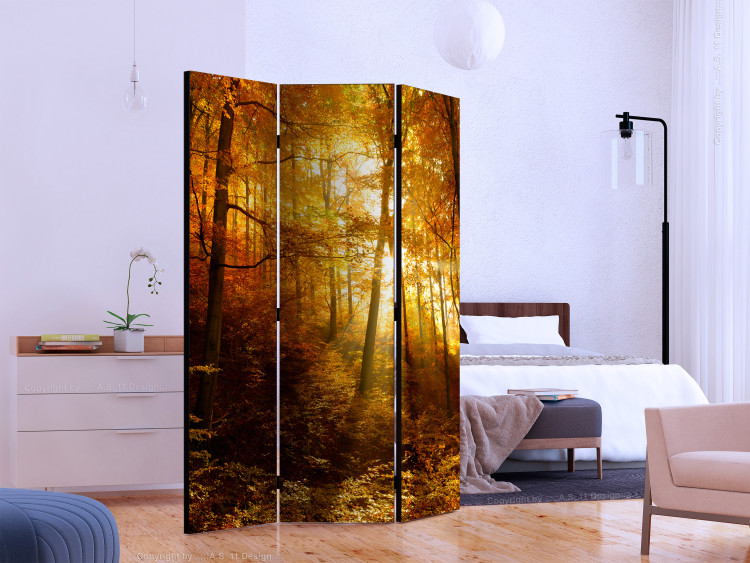 Room Divider Screen Autumn Illumination - forest landscape with the glow of sunlight 134109 additionalImage 2