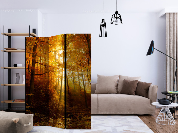 Room Divider Screen Autumn Illumination - forest landscape with the glow of sunlight 134109 additionalImage 4