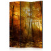 Room Divider Screen Autumn Illumination - forest landscape with the glow of sunlight 134109