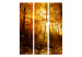 Room Divider Screen Autumn Illumination - forest landscape with the glow of sunlight 134109 additionalThumb 3