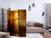 Room Divider Screen Autumn Illumination - forest landscape with the glow of sunlight 134109 additionalThumb 4