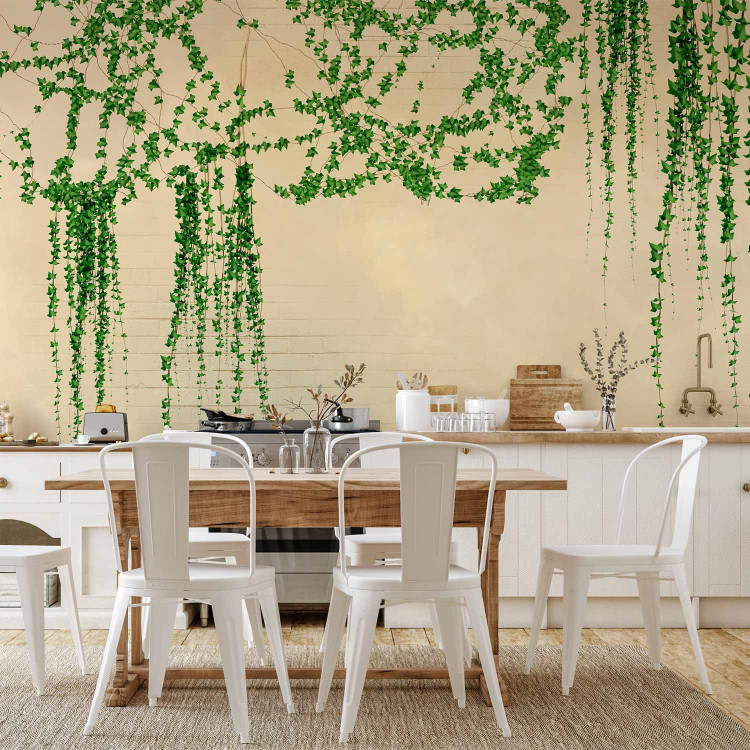 Wall Mural Ivy on the wall - green vines on a beige brick old wall 144509 additionalImage 6