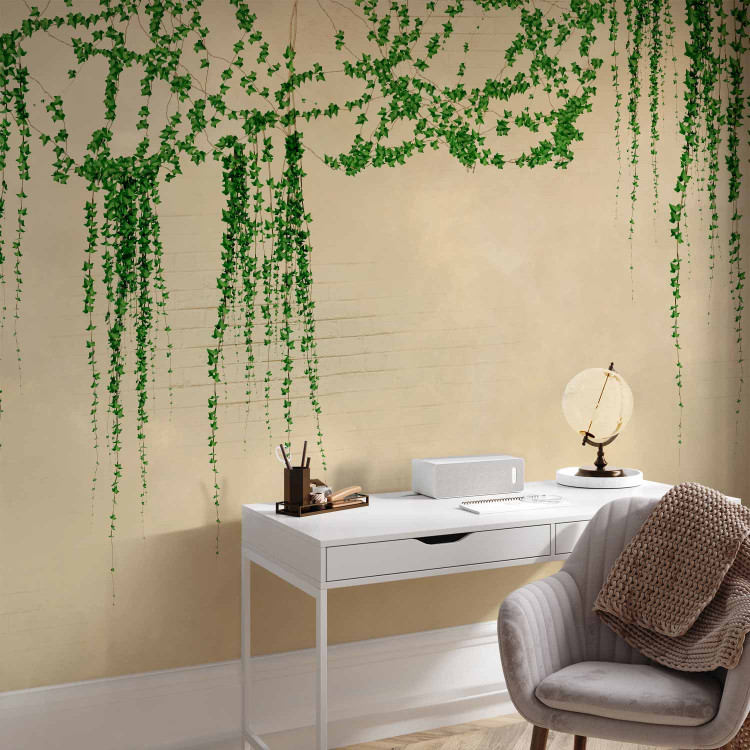 Wall Mural Ivy on the wall - green vines on a beige brick old wall 144509 additionalImage 4
