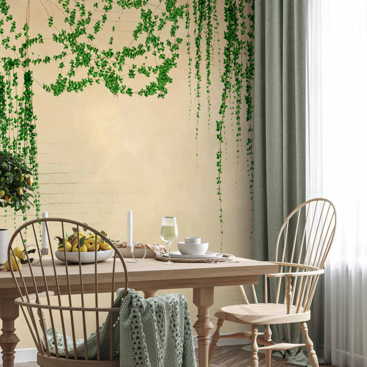 Wall Mural Ivy on the wall - green vines on a beige brick old wall 144509 additionalImage 7