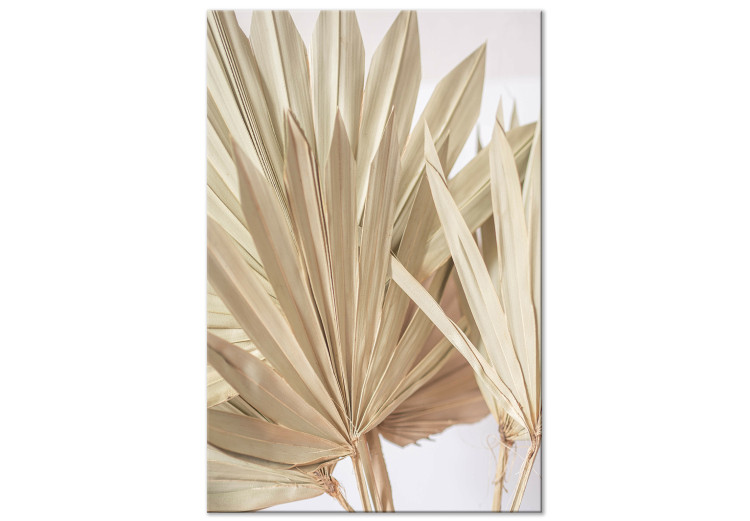 Canvas Print Palm Leaf - Dry Exotic Plant in Warm Colors 149809