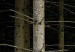 Canvas Art Print Pine trees at night 58509 additionalThumb 4