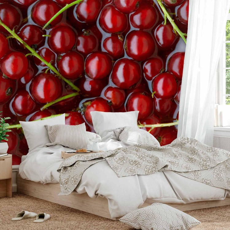 Wall Mural Fruit Flavours - Red Currants with Branches Submerged in Water 59809 additionalImage 2