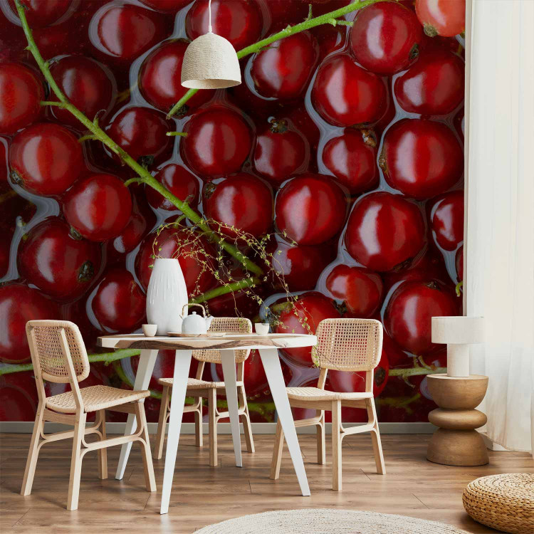 Wall Mural Fruit Flavours - Red Currants with Branches Submerged in Water 59809 additionalImage 6