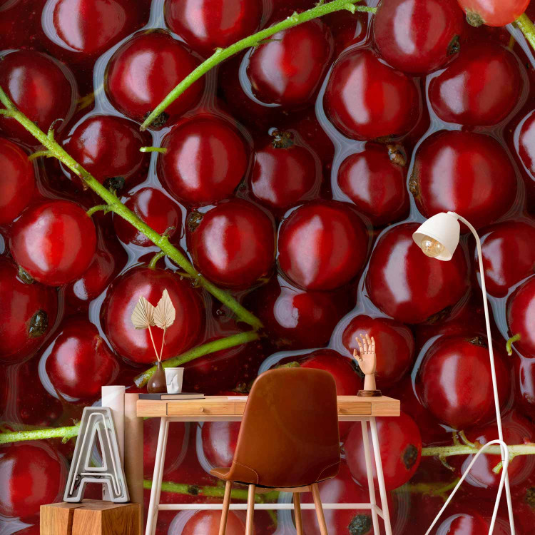Wall Mural Fruit Flavours - Red Currants with Branches Submerged in Water 59809 additionalImage 4