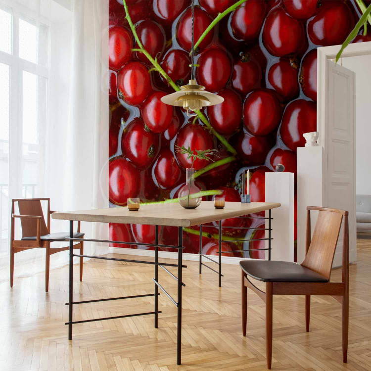 Wall Mural Fruit Flavours - Red Currants with Branches Submerged in Water 59809 additionalImage 7