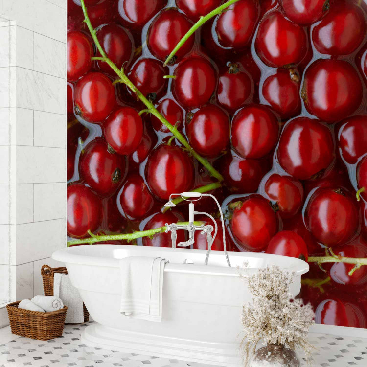 Wall Mural Fruit Flavours - Red Currants with Branches Submerged in Water 59809 additionalImage 8