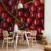 Wall Mural Fruit Flavours - Red Currants with Branches Submerged in Water 59809 additionalThumb 6