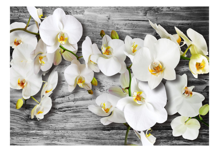 Wall Mural Chilly Orchids - White Flowers on a Wood Background in Shades of Gray 60309 additionalImage 1