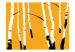 Wall Mural Birch forest - black and white tree trunks on an orange coloured background 96609 additionalThumb 1