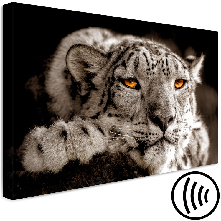 Canvas Print Magic Eyes (1-part) Wide - Predatory Cat in Gray Motif 108219 additionalImage 6