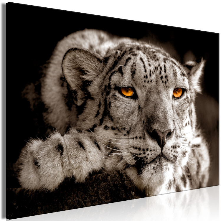 Canvas Print Magic Eyes (1-part) Wide - Predatory Cat in Gray Motif 108219 additionalImage 2