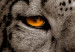 Canvas Print Magic Eyes (1-part) Wide - Predatory Cat in Gray Motif 108219 additionalThumb 5