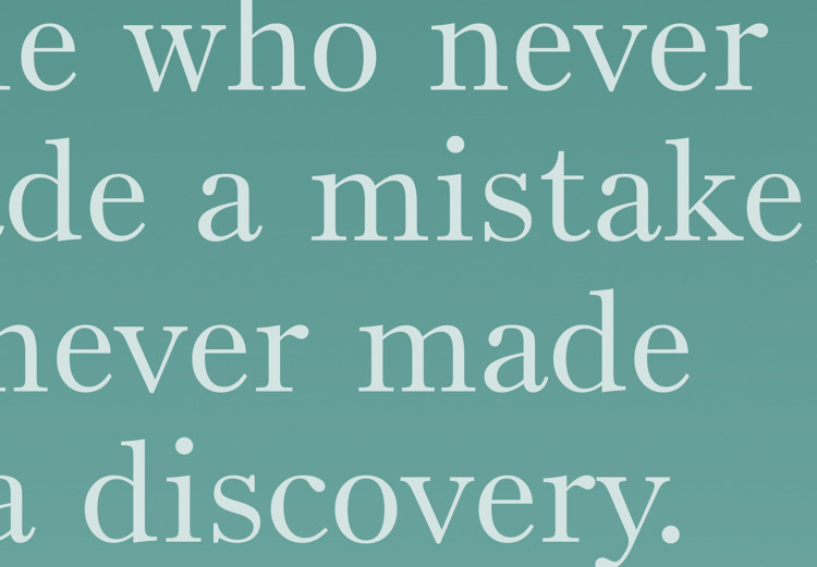 Poster He who never made a mistake - mountains and motivational English quote 114419 additionalImage 11