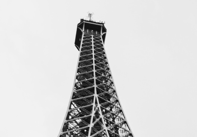 Poster Parisian giant - black and white shot of the Eiffel Tower from a frog's perspective 114919 additionalImage 7
