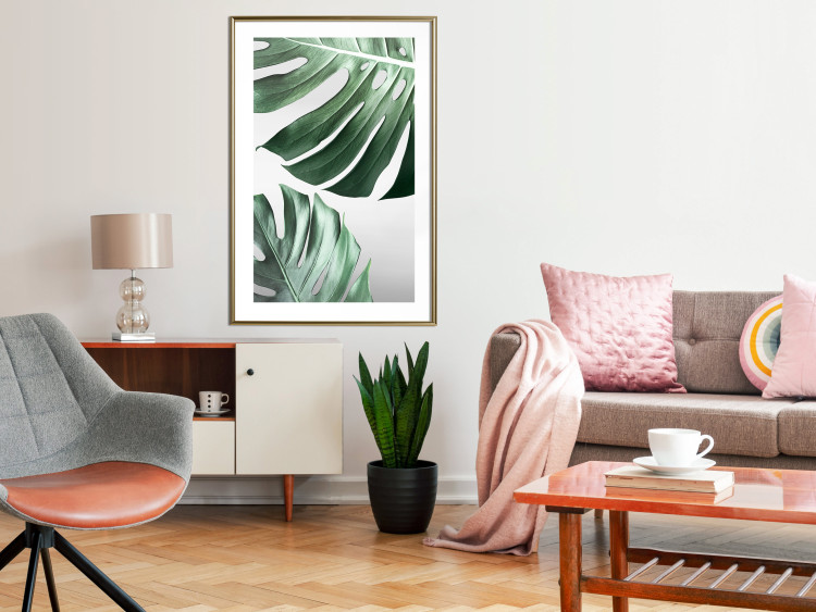 Poster Monstera Leaves - composition with green tropical plants on a white background 117119 additionalImage 13