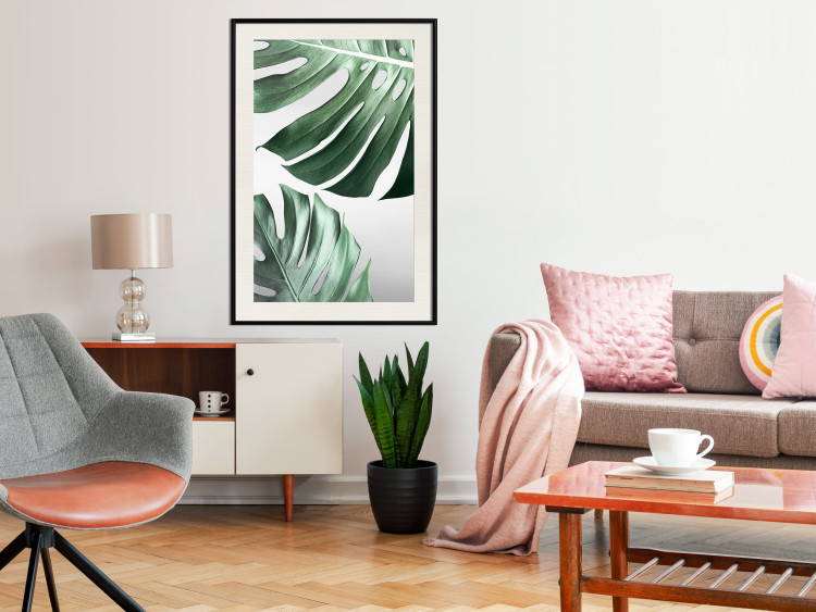 Poster Monstera Leaves - composition with green tropical plants on a white background 117119 additionalImage 22