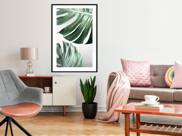 Poster Monstera Leaves - composition with green tropical plants on a white background 117119 additionalImage 4