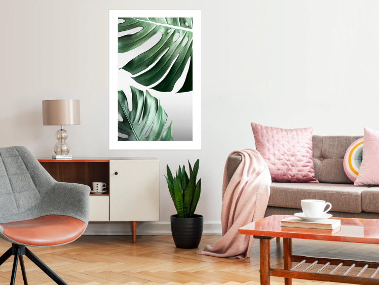 Poster Monstera Leaves - composition with green tropical plants on a white background 117119 additionalImage 4