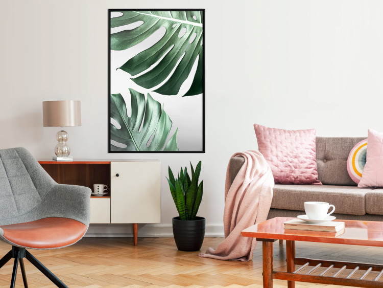 Poster Monstera Leaves - composition with green tropical plants on a white background 117119 additionalImage 3