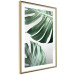 Poster Monstera Leaves - composition with green tropical plants on a white background 117119 additionalThumb 6