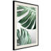 Poster Monstera Leaves - composition with green tropical plants on a white background 117119 additionalThumb 3
