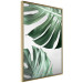 Poster Monstera Leaves - composition with green tropical plants on a white background 117119 additionalThumb 12