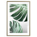 Poster Monstera Leaves - composition with green tropical plants on a white background 117119 additionalThumb 16