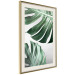 Poster Monstera Leaves - composition with green tropical plants on a white background 117119 additionalThumb 2