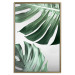 Poster Monstera Leaves - composition with green tropical plants on a white background 117119 additionalThumb 20
