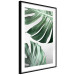 Poster Monstera Leaves - composition with green tropical plants on a white background 117119 additionalThumb 11