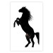 Wall Poster Horse Dance - black and white composition with the silhouette of a standing horse 118919 additionalThumb 19