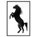 Wall Poster Horse Dance - black and white composition with the silhouette of a standing horse 118919 additionalThumb 15
