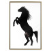 Wall Poster Horse Dance - black and white composition with the silhouette of a standing horse 118919 additionalThumb 14