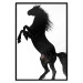 Wall Poster Horse Dance - black and white composition with the silhouette of a standing horse 118919 additionalThumb 18