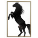 Wall Poster Horse Dance - black and white composition with the silhouette of a standing horse 118919 additionalThumb 16