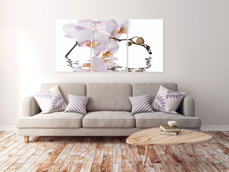 Canvas Pink orchid - triptych with blooming orchid flower on white background 123419 additionalImage 3