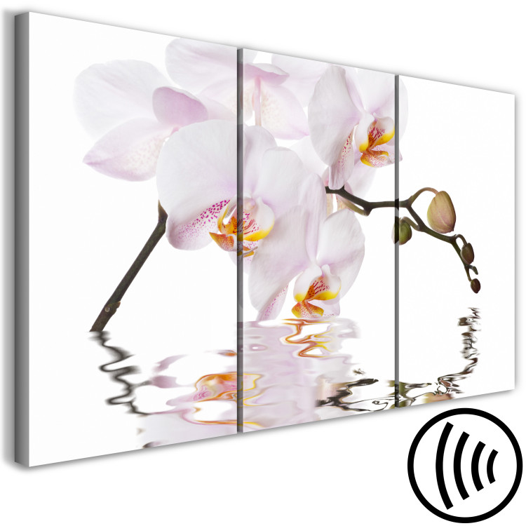 Canvas Pink orchid - triptych with blooming orchid flower on white background 123419 additionalImage 6